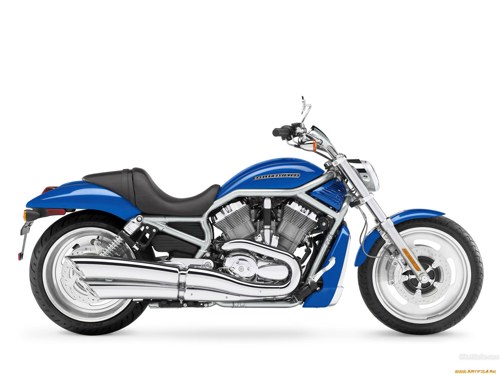 , harley, davidson